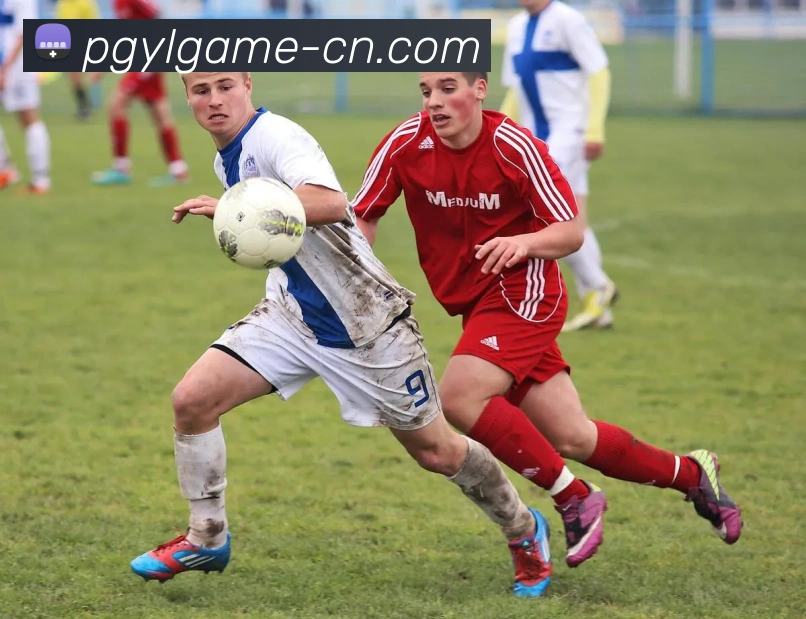 赛事经济新动向解读世界杯期间球迷消费行为变化对足球市场的影响